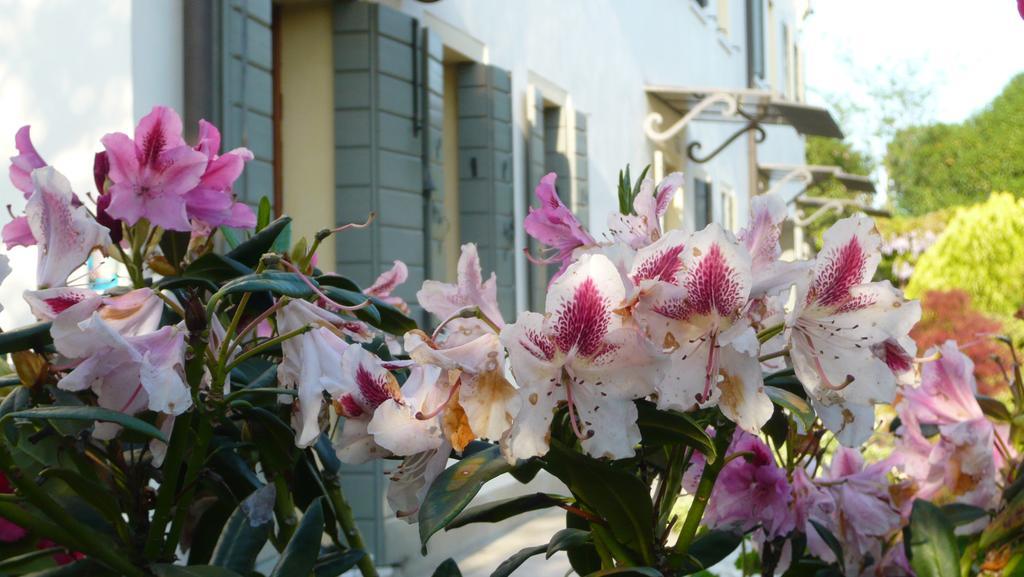 Residenza Serena Mirano Exterior foto