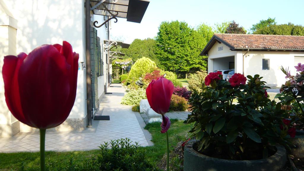 Residenza Serena Mirano Exterior foto